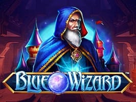 Blue Wizard screenshot